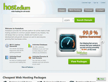 Tablet Screenshot of hostedium.com